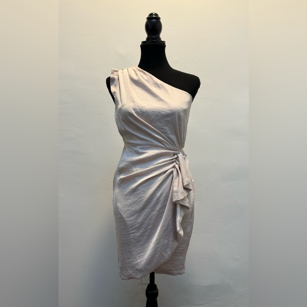 NWT ALL SAINTS “LEXI” Washed Pink Beige Dress Sz 2